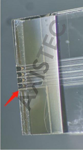 Close view of a prepared photonic edge with multiple optical coupling channels